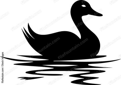 Duck floating on water