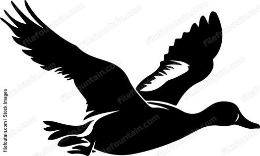 Duck flying right