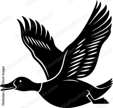 Duck flying silhouette