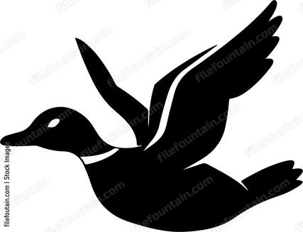 Duck in silhouette flying right