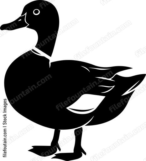 Duck Standing Side
