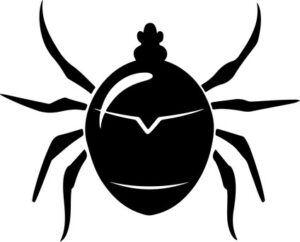 Dust Mite