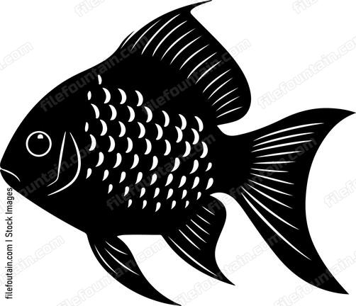 Dwarf Gourami