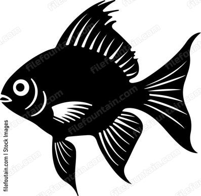 Dwarf Gourami
