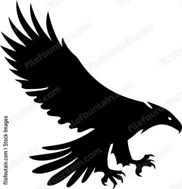 Eagle Attacking