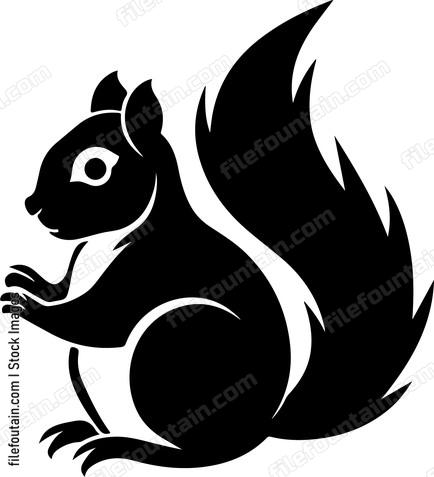 European Squirrel