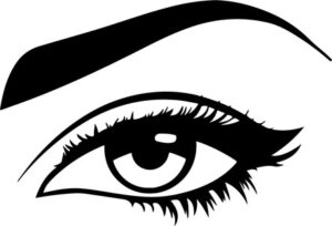 Eye With Brow