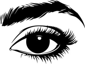 Eye With Brow