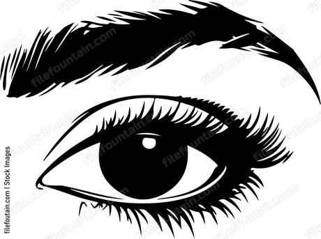 Eye With Brow