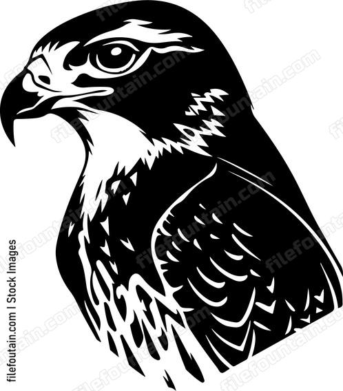 Falcon