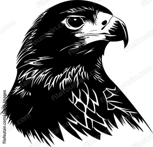 Falcon