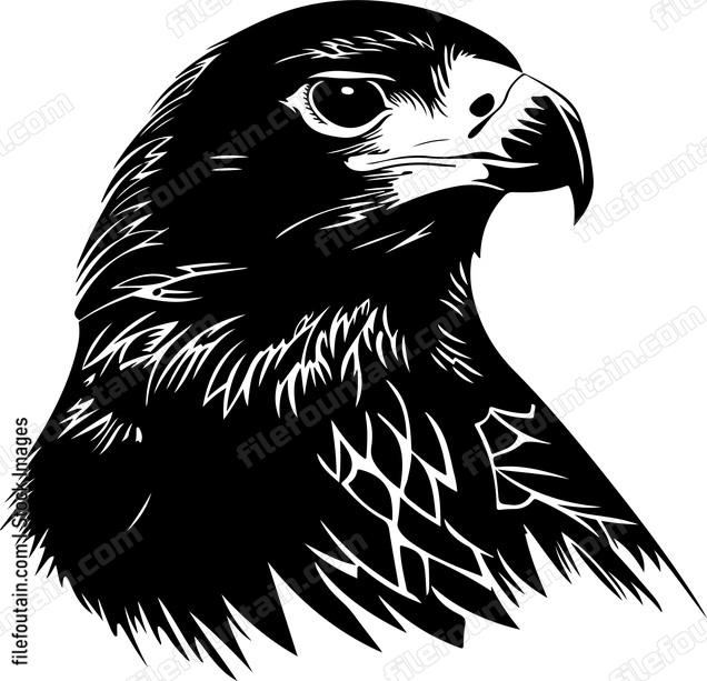 Falcon