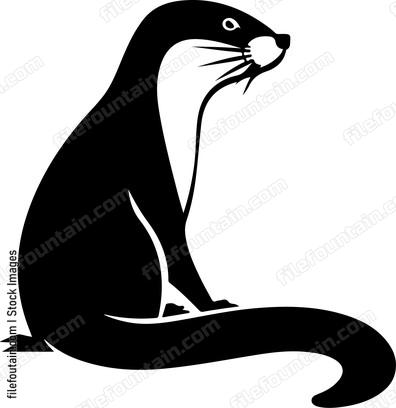 Ferret