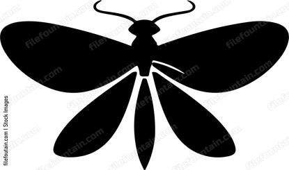 Firefly