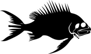 Fish Skeleton