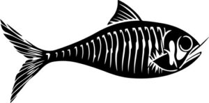 Fish Skeleton