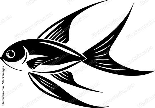 Fish swimming right