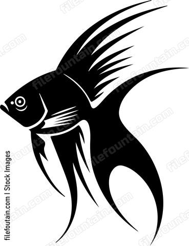 Fish with elaborate fins