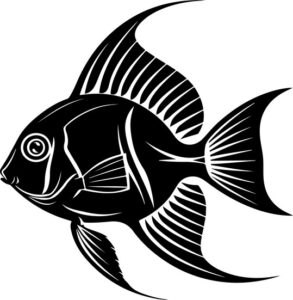 Fish with large flowing fins