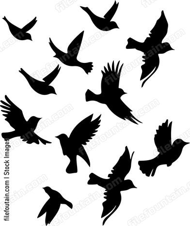 Flock Of Birds