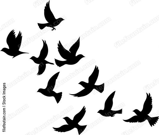 Flock Of Birds