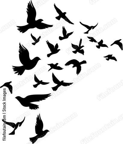 Flock Of Birds