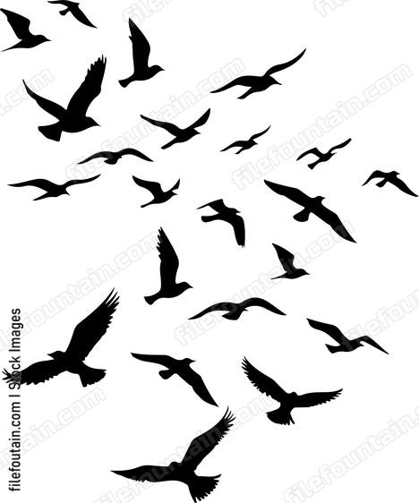 Flock Of Birds