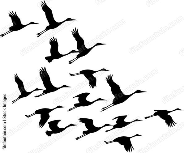 Flock Of Cranes Silhouette