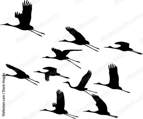 Flock Of Cranes Silhouette