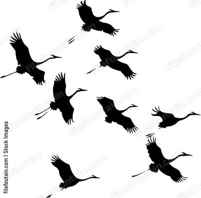Flock Of Cranes Silhouette