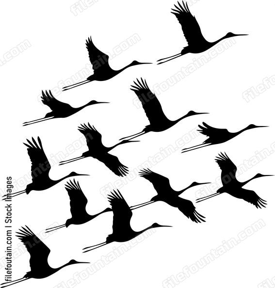 Flock Of Cranes Silhouette