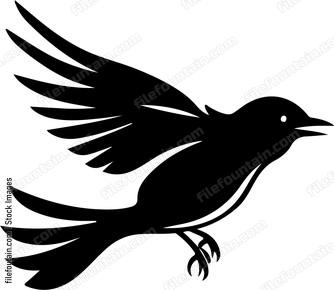Flycatcher