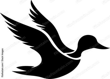 Flying Duck