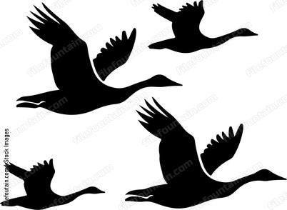 Flying Geese Hunting