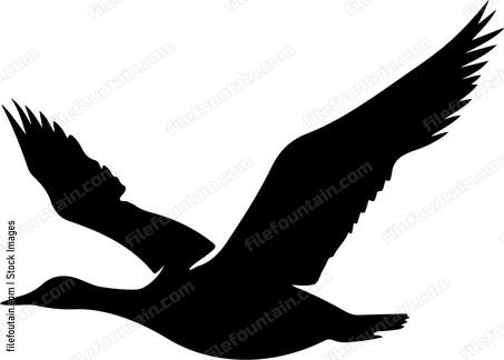 Flying Geese Hunting