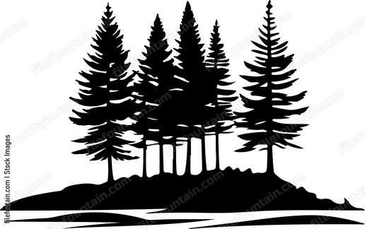 Forest Landscape