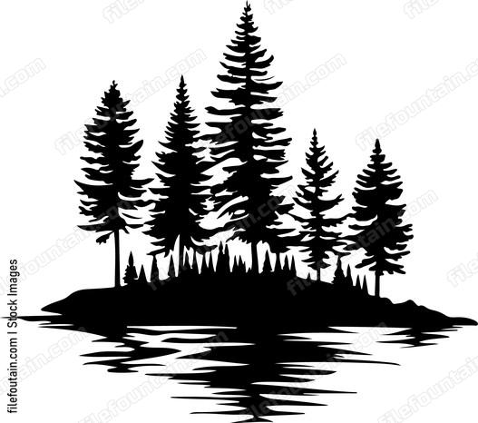 Forest Landscape