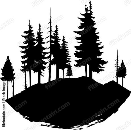 Forest Landscape