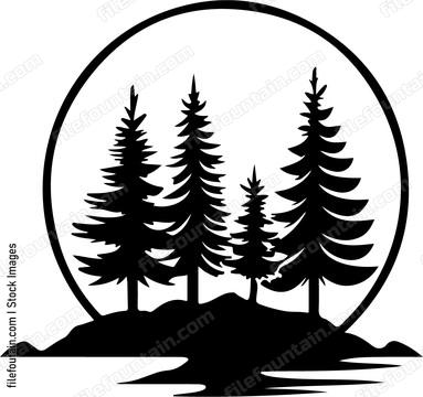 Forest Landscape