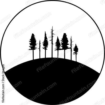 Forest On A Hill