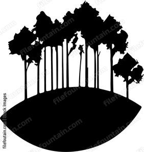 Forest On A Hill
