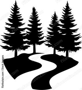 Forest Path