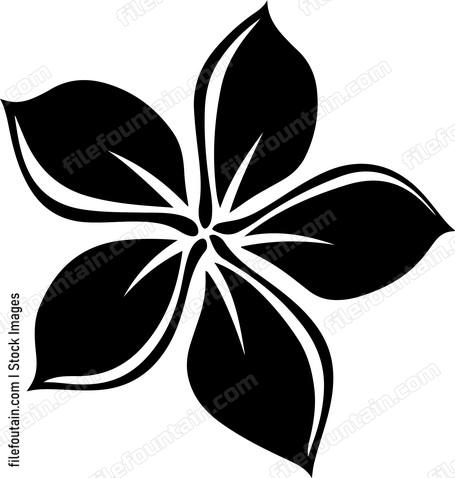 Frangipani Flower Design