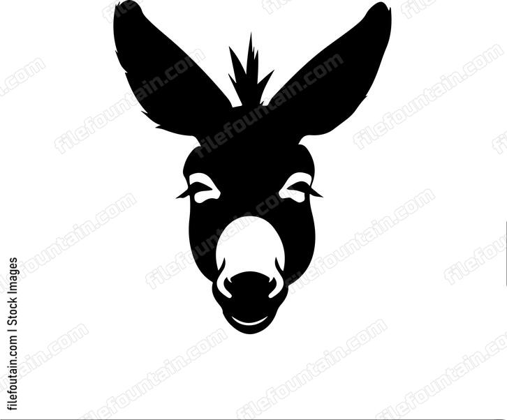 Funny Donkey Face