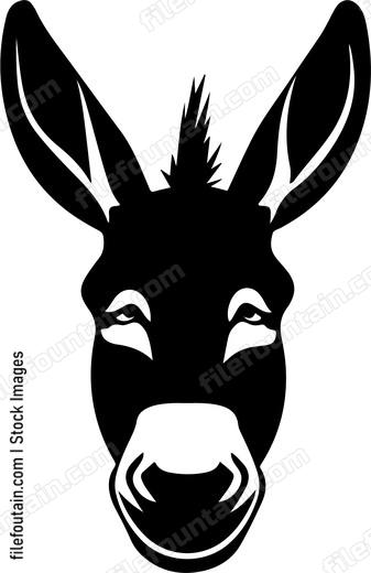 Funny Donkey Face