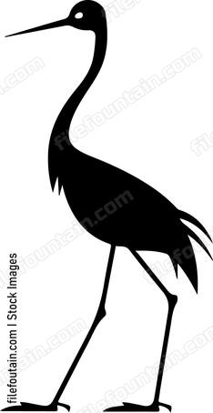 Funny Walking Bird
