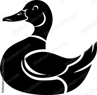 Gadwall Duck