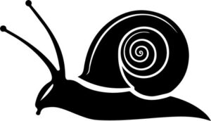 Garden Snail