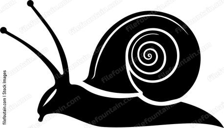 Garden Snail