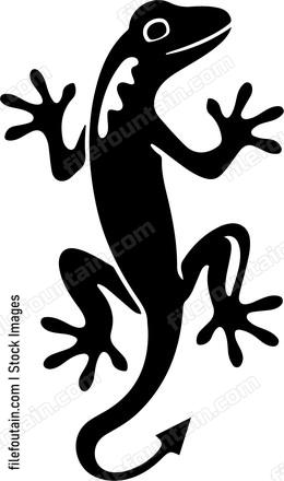 Gecko